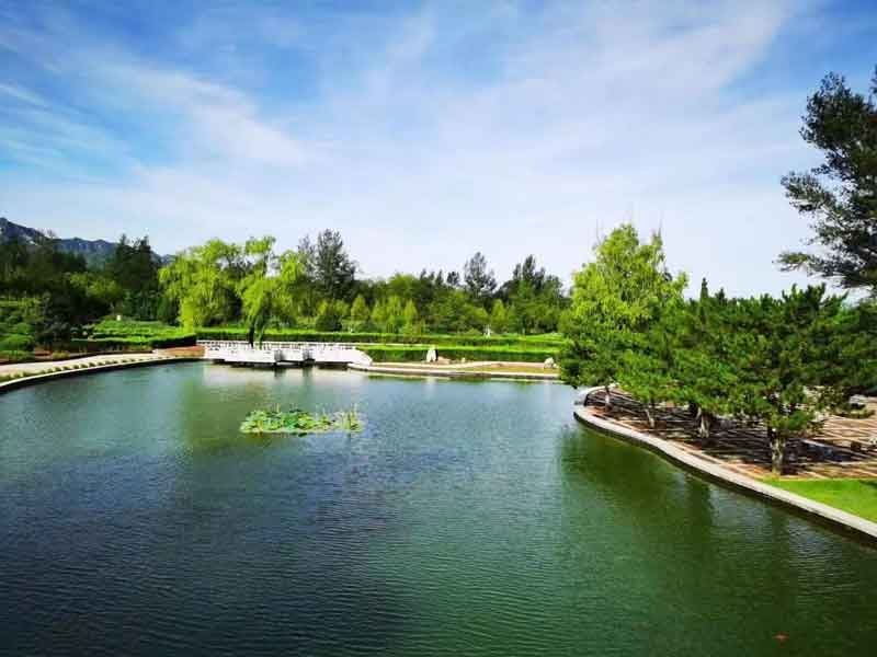 环湖生态陵园园区环境如何？位置在哪里？